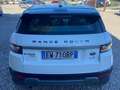 Land Rover Range Rover Evoque Range Rover Evoque 5p 2.2 td4 Prestige 150cv auto Blanc - thumbnail 8