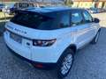 Land Rover Range Rover Evoque Range Rover Evoque 5p 2.2 td4 Prestige 150cv auto Blanc - thumbnail 7