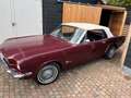 Ford Mustang 1965 6-cilinder convertible Rood - thumbnail 4