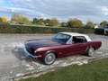Ford Mustang 1965 6-cilinder convertible Rood - thumbnail 9