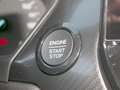 Ford Fiesta Active 1,0 EcoBoost Hybrid Alb - thumbnail 20