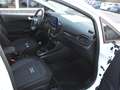 Ford Fiesta Active 1,0 EcoBoost Hybrid Alb - thumbnail 24