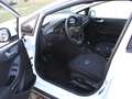 Ford Fiesta Active 1,0 EcoBoost Hybrid Alb - thumbnail 3