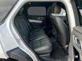 Land Rover Range Rover Velar D200 AWD R-DYNAMIC SE ACC Weiß - thumbnail 5