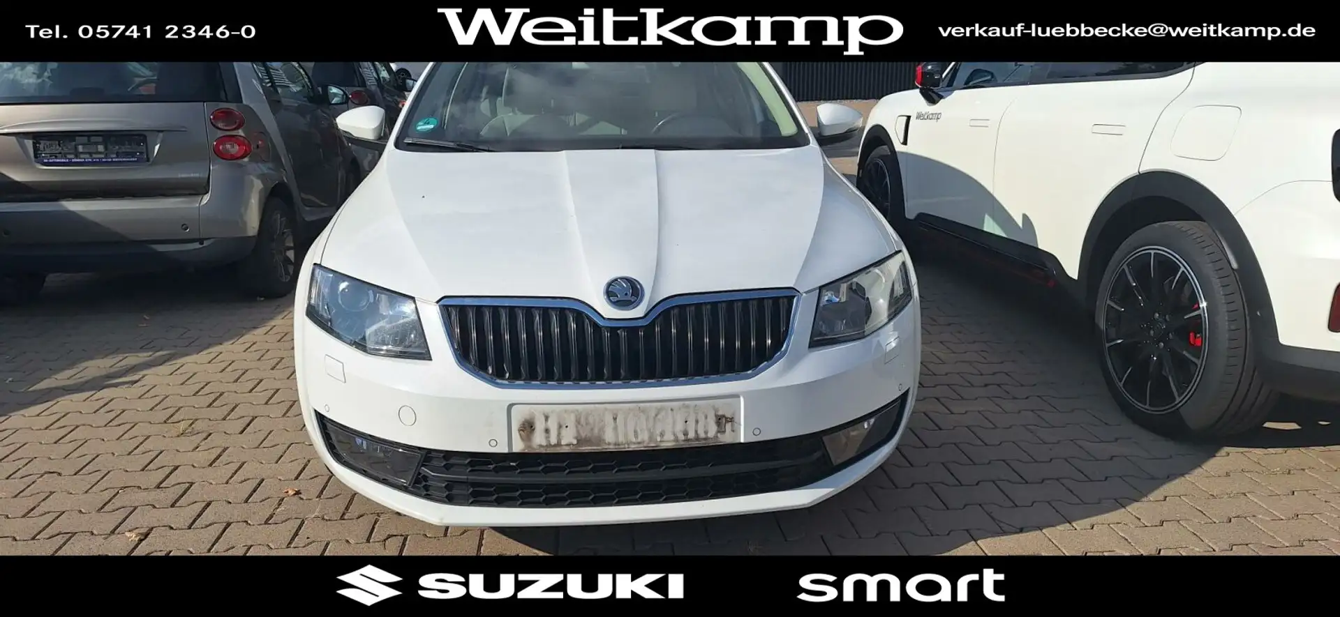 Skoda Octavia Octavia Lim.2.0TDI DPF Elegance GrTec an Gewerbe Beige - 2