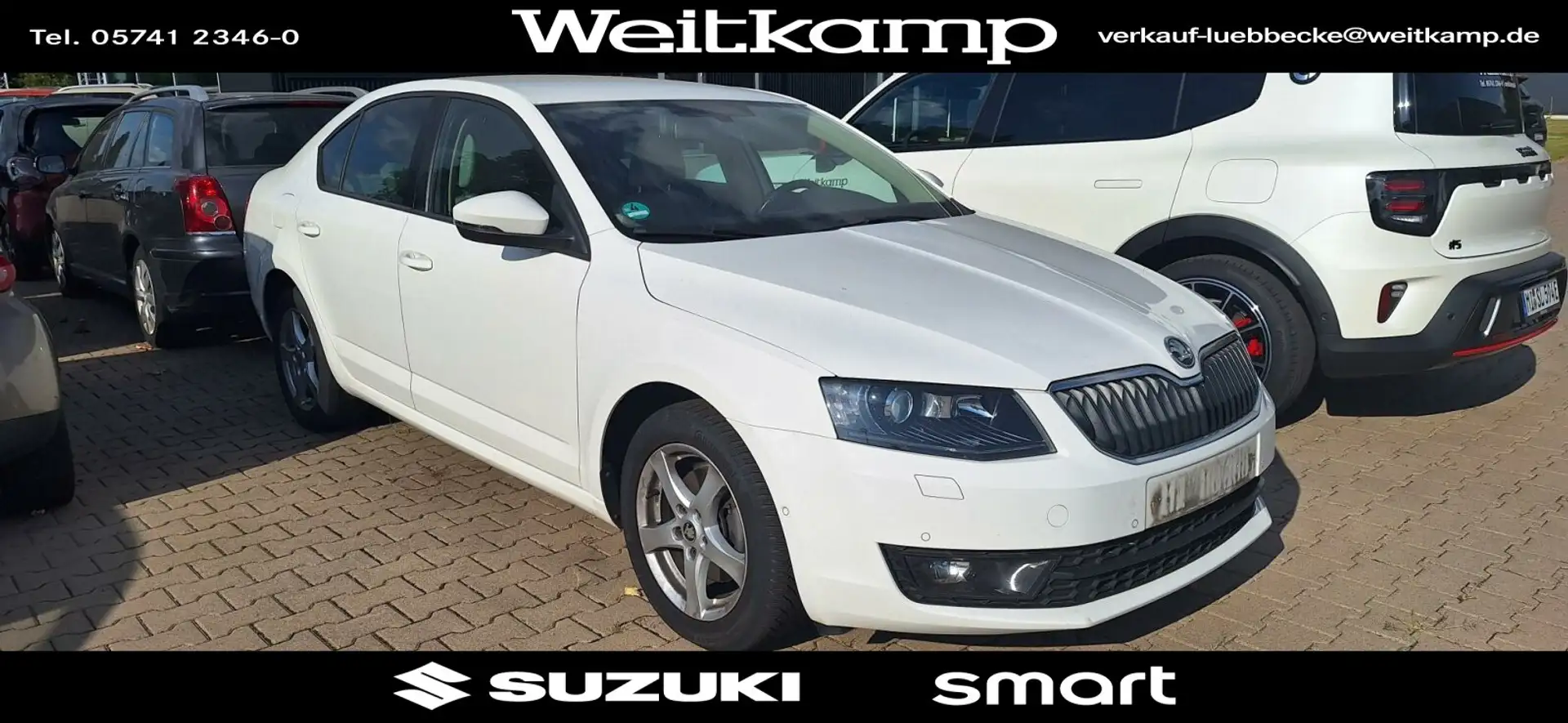 Skoda Octavia Octavia Lim.2.0TDI DPF Elegance GrTec an Gewerbe Beige - 1