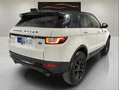 Land Rover Range Rover Evoque 2.0L TD4 110kW 110kW 4x4 SE Auto. Weiß - thumbnail 7