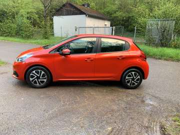 PureTech / Zahnriemen neu