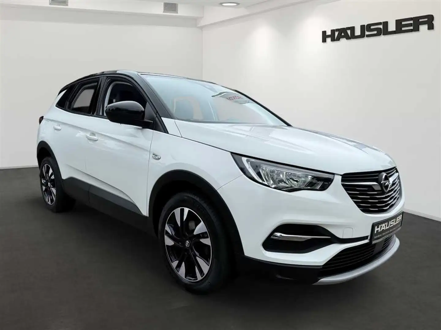 Opel Grandland X X Elegance 1.2 *Kamera*LED*Sitz-&Lenkr.Heizung* Wit - 2