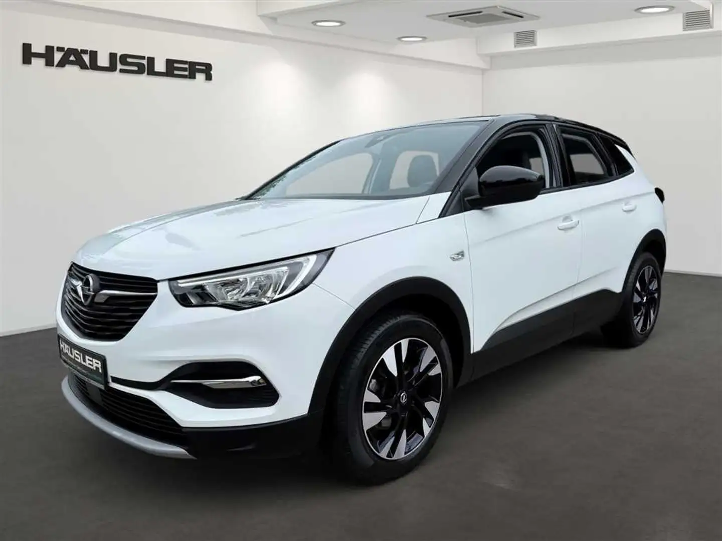 Opel Grandland X X Elegance 1.2 *Kamera*LED*Sitz-&Lenkr.Heizung* Wit - 1