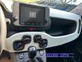 Fiat Pandina PANDINA CROSS PROMO FINAZ  1.0 FireFly  Hy Giallo - thumbnail 12