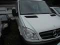 Mercedes-Benz Sprinter 316 CDI (6 Sitzer) Blanco - thumbnail 6