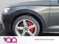 Audi SQ5 3.0 TDI quattro PANO+NAVI+DC+LUFTFEDERUNG Grau - thumbnail 15