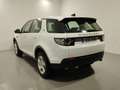 Land Rover Discovery Sport 2.0eD4 Pure 4x2 150 Blanco - thumbnail 4