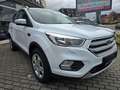 Ford Kuga Trend*Facelift*Klima*Sportsitze* Weiß - thumbnail 4