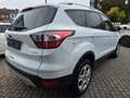 Ford Kuga Trend*Facelift*Klima*Sportsitze* Weiß - thumbnail 13