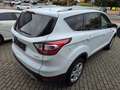 Ford Kuga Trend*Facelift*Klima*Sportsitze* Weiß - thumbnail 14