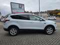 Ford Kuga Trend*Facelift*Klima*Sportsitze* Weiß - thumbnail 15