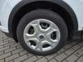 Ford Kuga Trend*Facelift*Klima*Sportsitze* Weiß - thumbnail 35