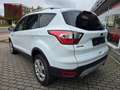Ford Kuga Trend*Facelift*Klima*Sportsitze* Weiß - thumbnail 8