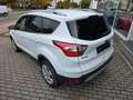 Ford Kuga Trend*Facelift*Klima*Sportsitze* Weiß - thumbnail 9