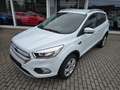 Ford Kuga Trend*Facelift*Klima*Sportsitze* Weiß - thumbnail 2