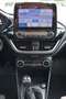 Ford Fiesta Titanium l 1.HAND l KAMERA l PANORAMA Grau - thumbnail 9