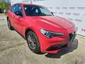 Alfa Romeo Stelvio 2.2 TD 180 CV AT8 RWD Super - AZIENDALE Rosso - thumbnail 10