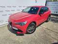 Alfa Romeo Stelvio 2.2 TD 180 CV AT8 RWD Super - AZIENDALE Rosso - thumbnail 2