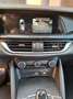 Alfa Romeo Stelvio 2.2 TD 180 CV AT8 RWD Super - AZIENDALE Rojo - thumbnail 27