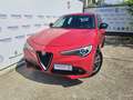 Alfa Romeo Stelvio 2.2 TD 180 CV AT8 RWD Super - AZIENDALE Rosso - thumbnail 6