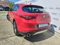 Alfa Romeo Stelvio 2.2 TD 180 CV AT8 RWD Super - AZIENDALE Rosso - thumbnail 14