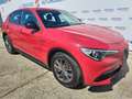 Alfa Romeo Stelvio 2.2 TD 180 CV AT8 RWD Super - AZIENDALE Rosso - thumbnail 12