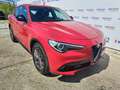 Alfa Romeo Stelvio 2.2 TD 180 CV AT8 RWD Super - AZIENDALE Rosso - thumbnail 11
