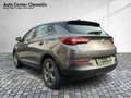 Opel Grandland AT8 Hybrid Edition LED/Navi/KlimaA/PDC Grau - thumbnail 3