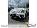 Volkswagen Beetle Cabrio 1.4 TSI R-Line BI-Xenon NAVI PDC T Weiß - thumbnail 1