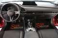 Mazda CX-30 2.0L e-Skyactiv-G 150 CV M Hybrid AWD Exceed Rosso - thumbnail 5
