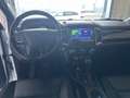 Ford Ranger Ranger Doppelkabine Wildtrak 4x4 2,0 EcoBlue Aut. Weiß - thumbnail 7