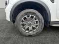 Ford Ranger Wildtrak e-4WD 2.0 Ecoblue AHK Navi Digitales Cock Weiß - thumbnail 16