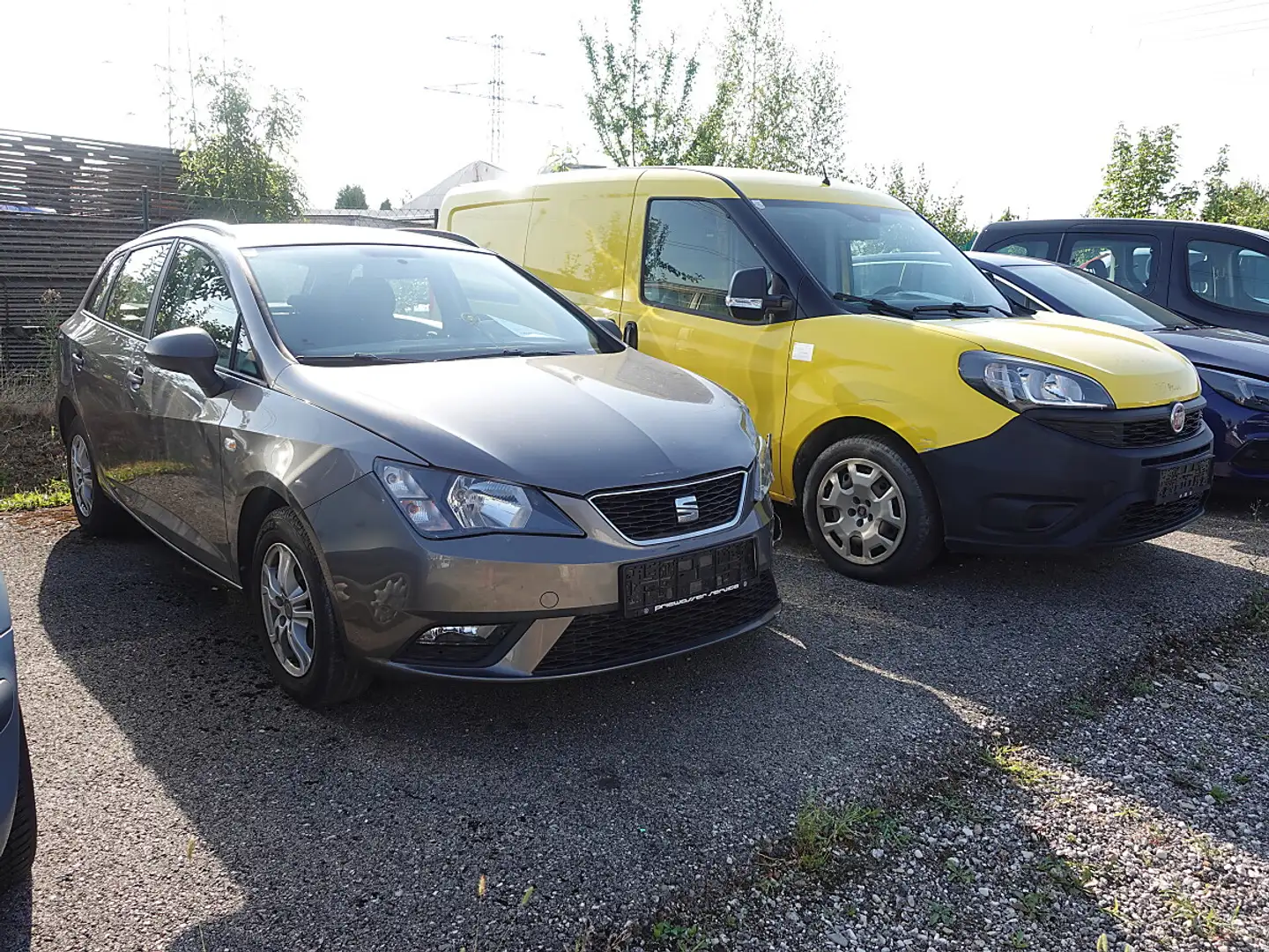 SEAT Ibiza 1,0 Grau - 2