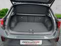 Volkswagen T-Roc R-Line 4Motion 2.0 TSI Grau - thumbnail 5