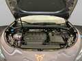 CUPRA Terramar VZ TSI 4D *AHK*Matrix*20"Senheiser* Lilla - thumbnail 15