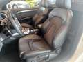 Audi A5 Cabrio 2,0 TDI DPF Aut. S-LINE Weiß - thumbnail 11