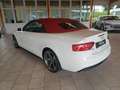 Audi A5 Cabrio 2,0 TDI DPF Aut. S-LINE Weiß - thumbnail 26