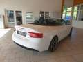 Audi A5 Cabrio 2,0 TDI DPF Aut. S-LINE Weiß - thumbnail 5