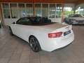 Audi A5 Cabrio 2,0 TDI DPF Aut. S-LINE Weiß - thumbnail 7