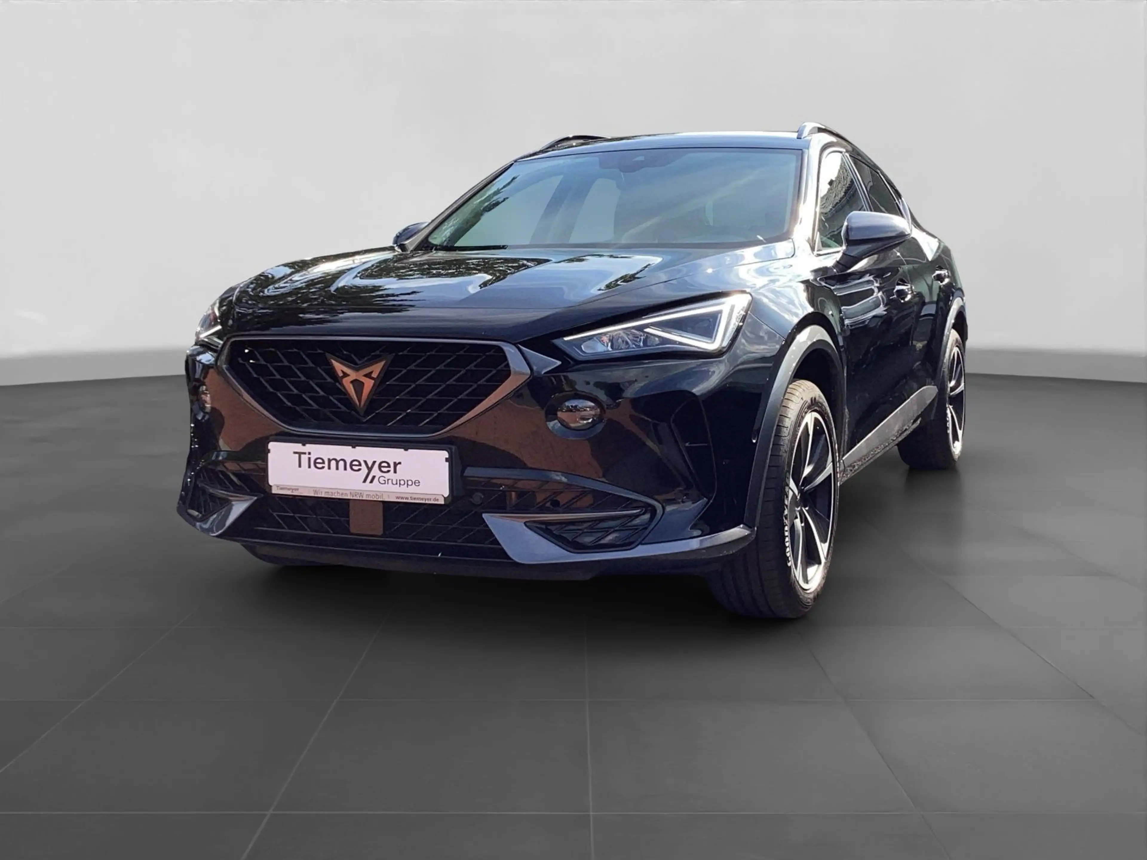 CUPRA Formentor 1.5 TSI DSG LED NAVI KAMERA LM18 — photo 2