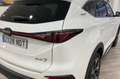 EVO EVO7 1.5 Turbo DCT plazas GLP - thumbnail 23
