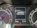 Skoda Kamiq Kamiq 1.0 tsi Ambition 95cv Blauw - thumbnail 14