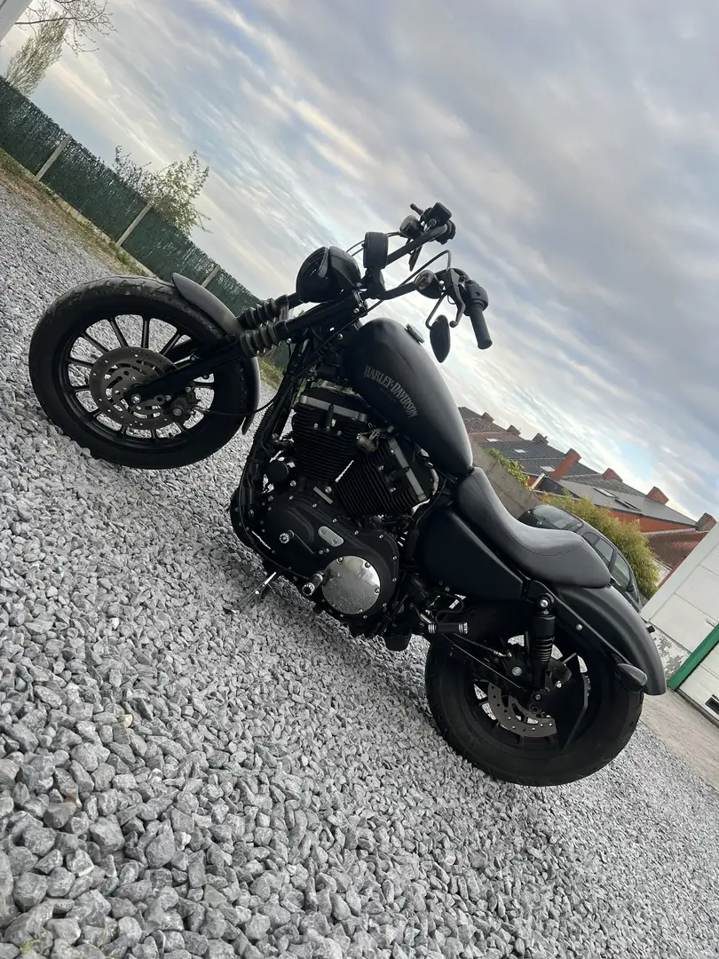 Harley-Davidson Iron 883 - 2